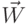 \vec{W} 