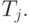 T_j.