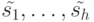 \tilde {s_1}, \dots, \tilde {s_h}